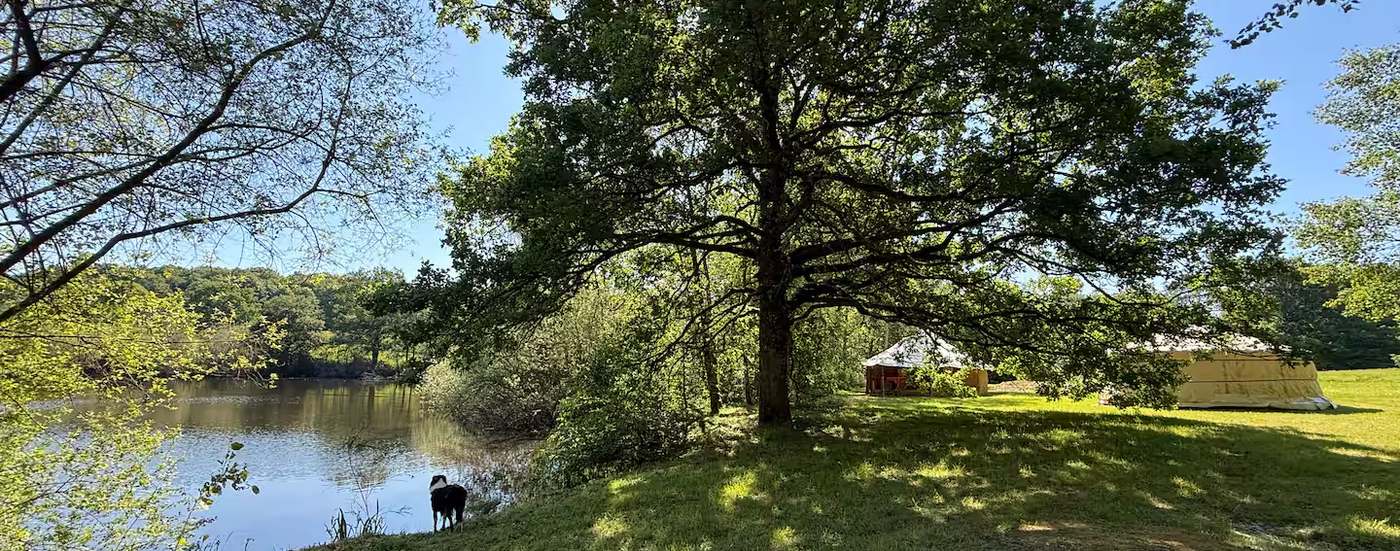 L'étang du domaine et le grand chêne, la yourte et la case visibles au fond du pré